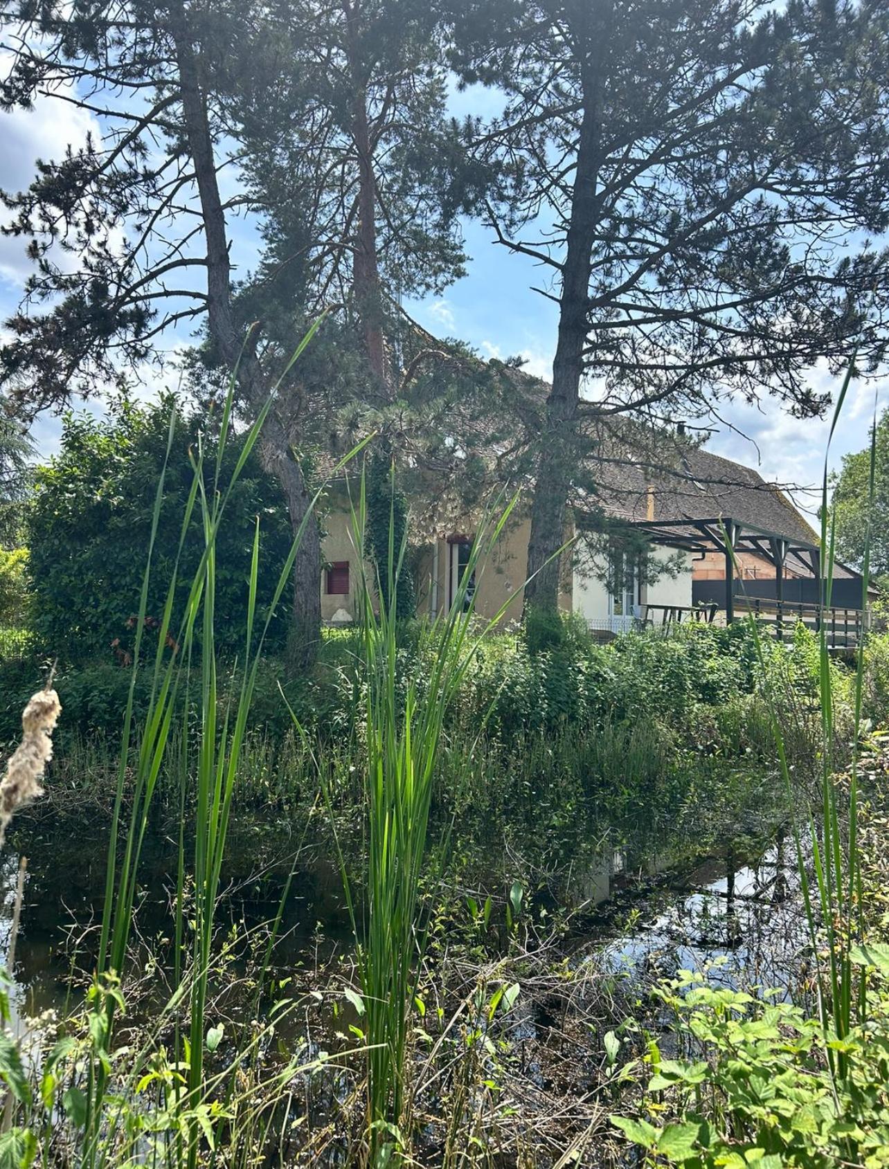 Chatenoy-le-Royal Le Gite Du Chateau Mouton מראה חיצוני תמונה